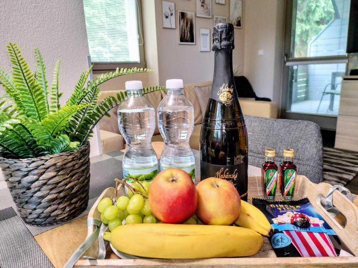 Relax Harrachov Apartments - Free Wellness Grotta Spa Ngoại thất bức ảnh